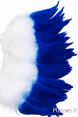 Franje haan - lengte veren 10-15 cm - wit-blauw
